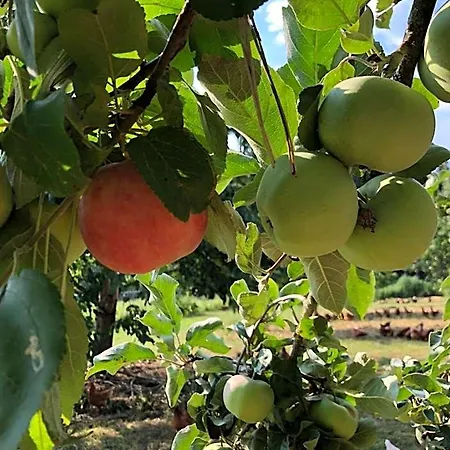 Farma Wastlbauer