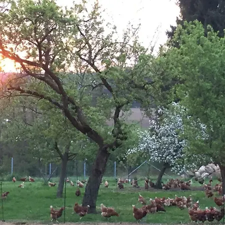 Farm stay Wastlbauer *