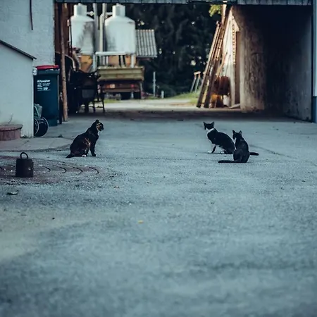 Wastlbauer * マットゼー